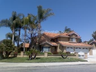 Foto principal - 256 Bathurst Rd