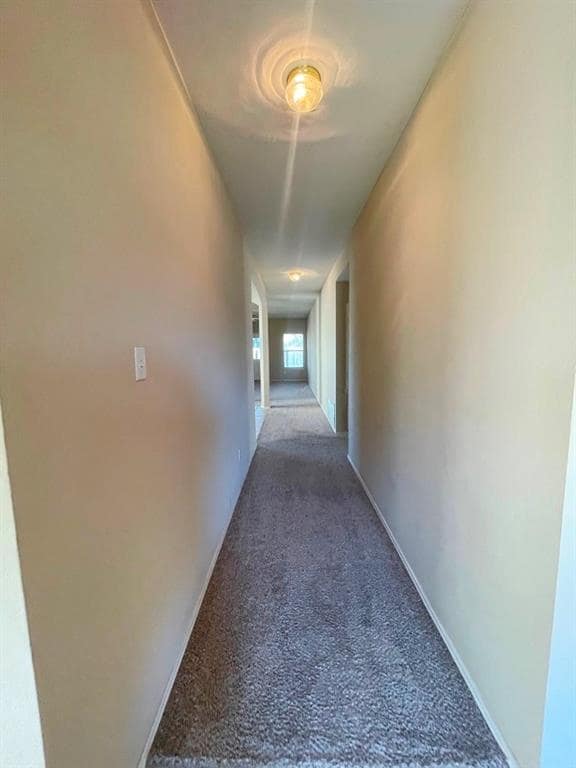 Building Photo - 209 Katy B Ln