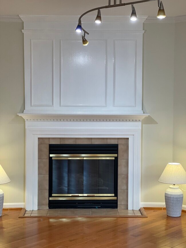 Detail of Fireplace - 11214 Edson Park Pl