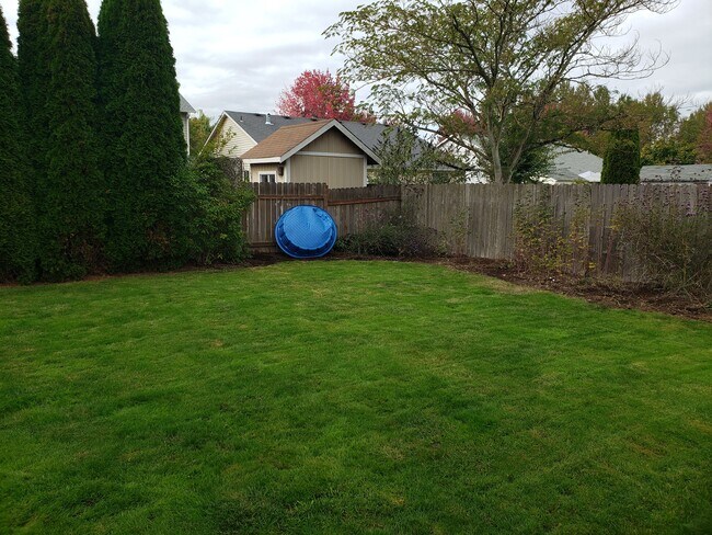 Backyard corner - 770 Hyacinth St