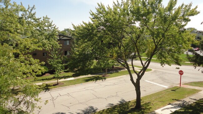 View from the balcony - 1134 Chalet Dr