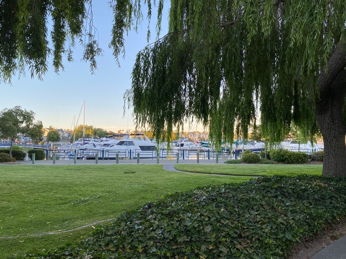 Primary Photo - Live in Benicia Marina, Boat views from Deck