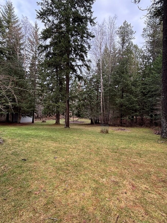 Building Photo - Beautiful Home on 1.2 Acres in Sandpoint