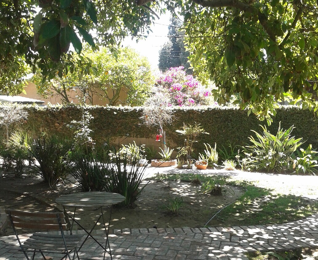 Back yard - 1508 Madrid Ave