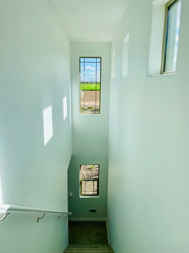 Building Photo - 1446 W Sparrow Dr
