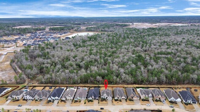Foto del edificio - 28045 Woodland Bend Way