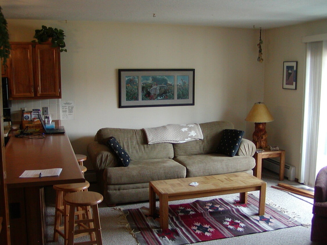 595 Straight Creek Dr, Dillon, CO 80435 House Rental in Dillon, CO