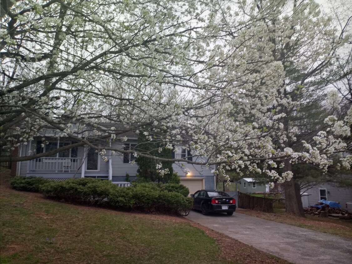 Primary Photo - 1340 Darlington Dr