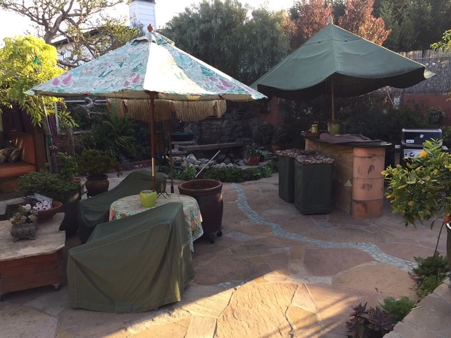 Beautiful back yard with lots of plants - 1136 8th St