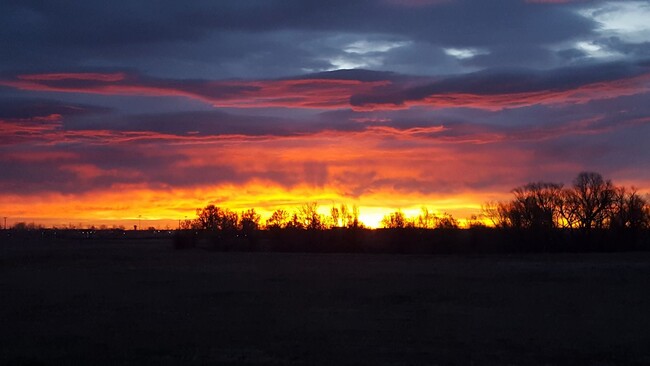 Great views. This is an unobstructed view of the sunrise over an open field to the east. - 649 Triton Ave