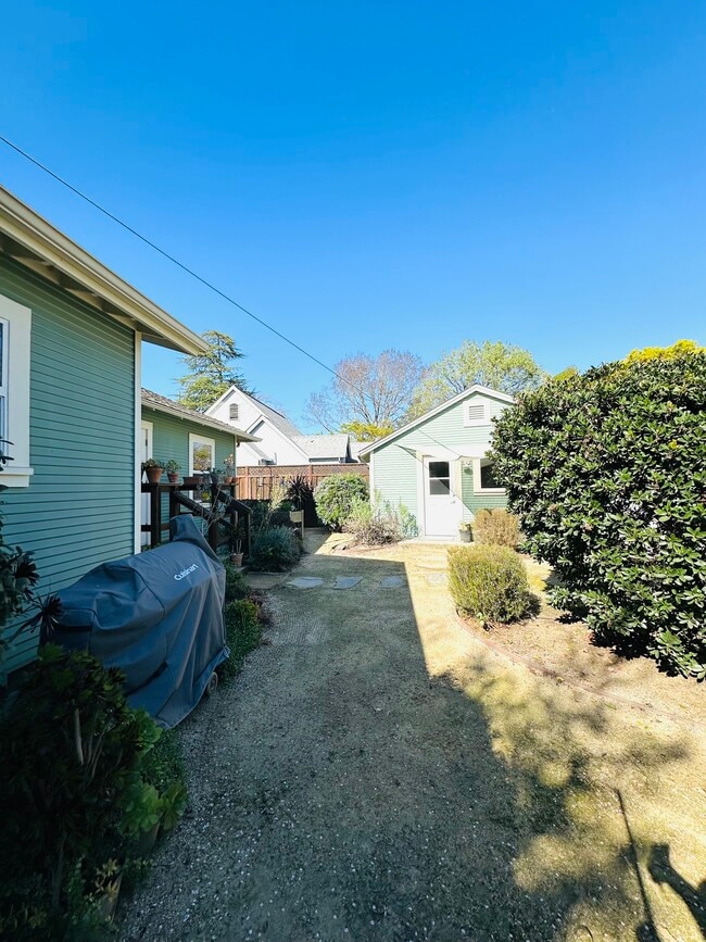 Back yard - 504 Montgomery St