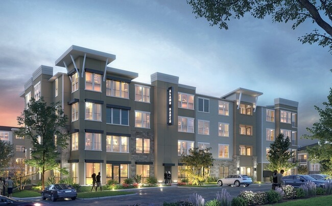 Community Street View - The Reserve at Alamo Ranch