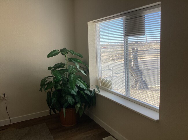 Foto del edificio - 1102 E 2nd St