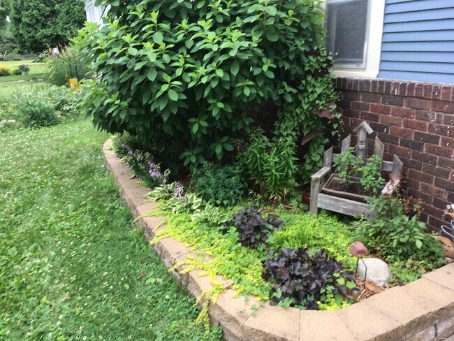 Garden - 3218 Pillsbury Ave S