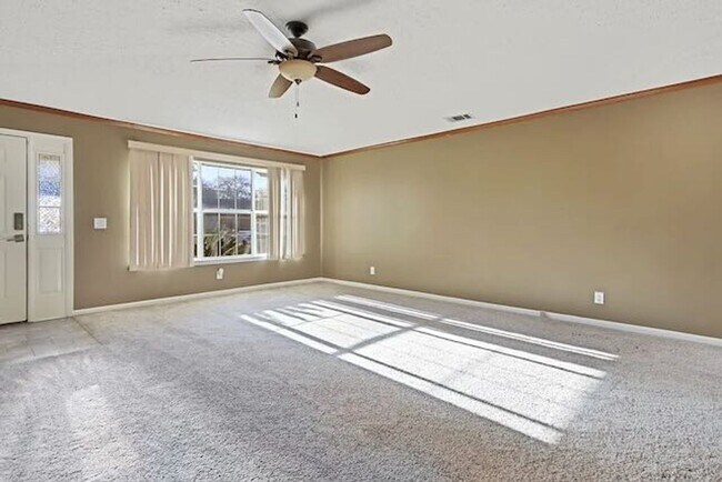 Foto del edificio - 12 Brown Thrasher Ct