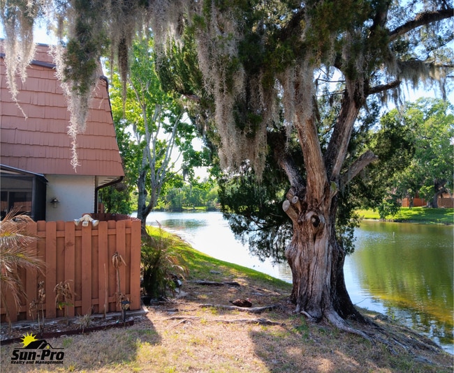 Photo - 139 Moonstone Ct Apartment