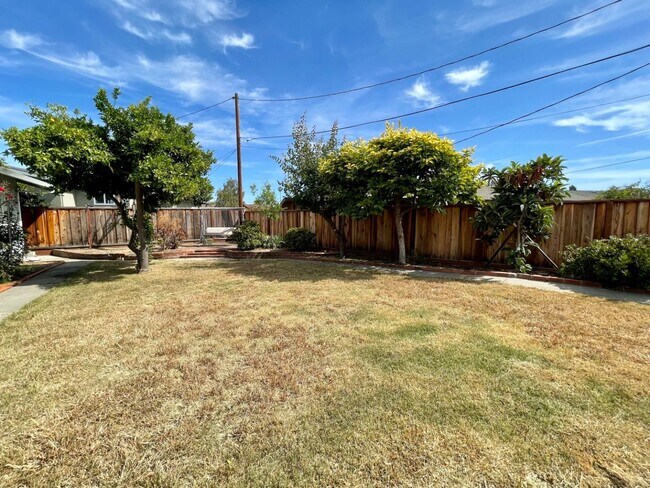 Building Photo - 1481 Lemos Ln