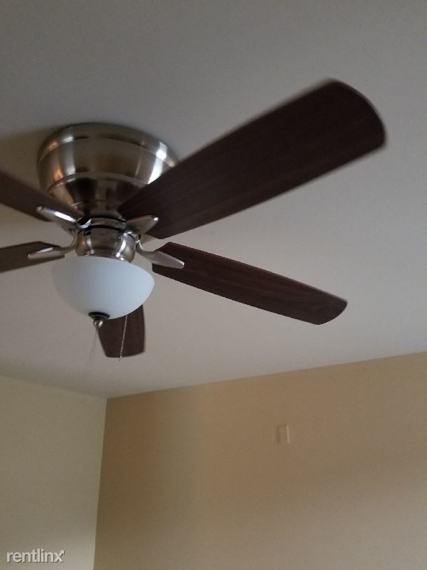 Foto del edificio - 4 br, 2.5 bath House - 164 Blackpool Dr