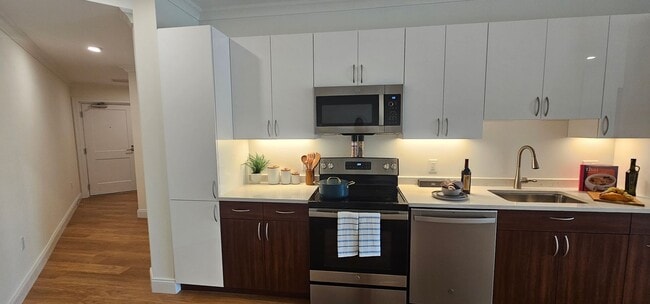 Building Photo - Chestnut Hill Luxury 1-Bed 1-Bath Apartment