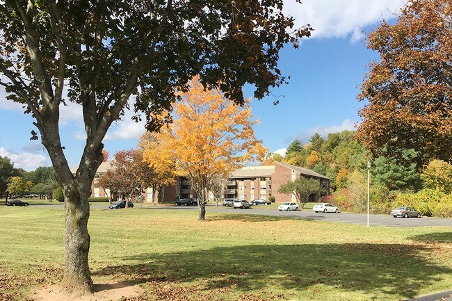 Avon Mill Apartments Avon Ct Apartments Com