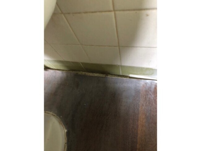 Foto del edificio - 671 Olive unit Rd