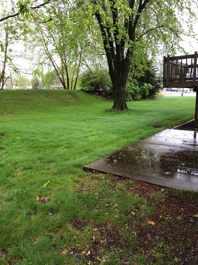 Foto del edificio - 1004 Terrace Dr