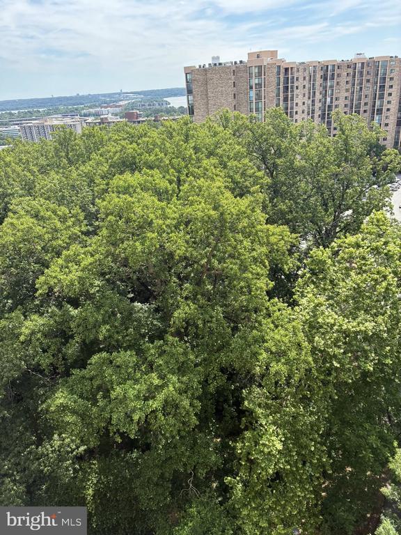 Foto del edificio - 5901 Mt Eagle Dr