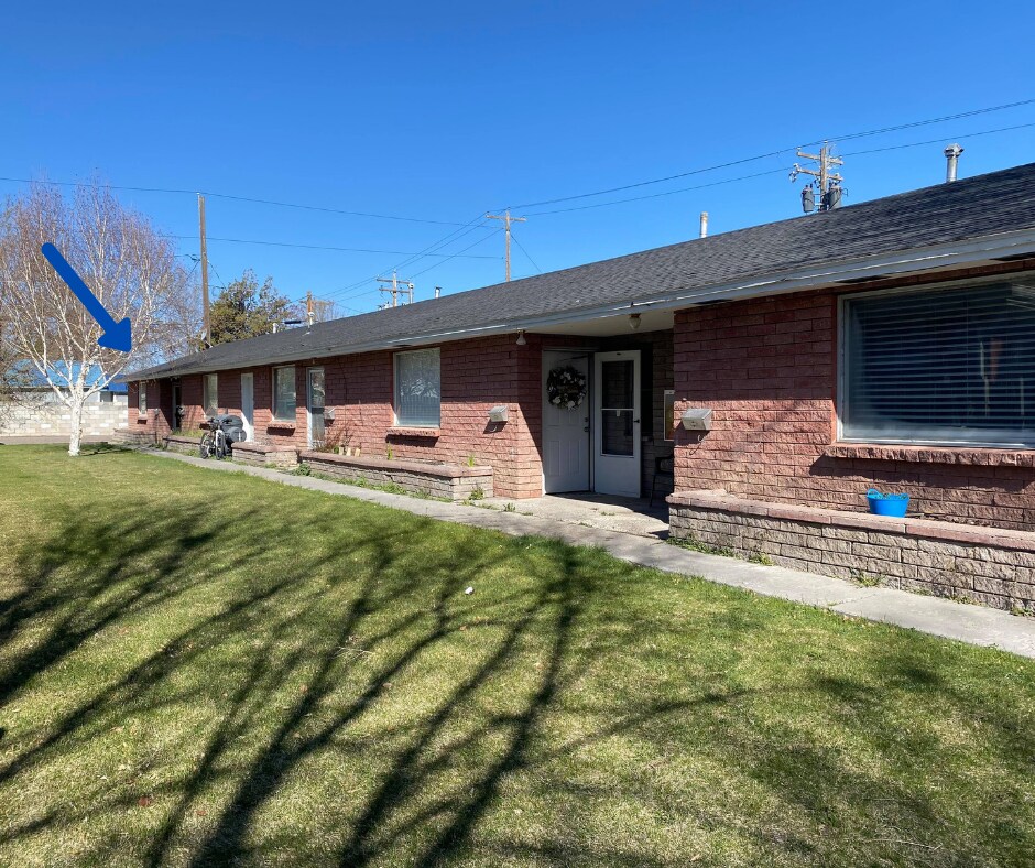 Primary Photo - Yale 5-Plex