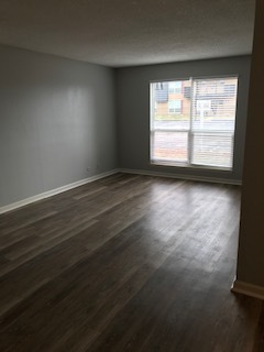 Remodeled Living Room - Aspen Park