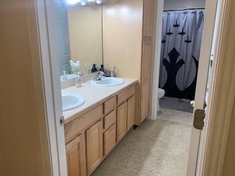 Bathroom (bathtub and shower) - 219 130 S