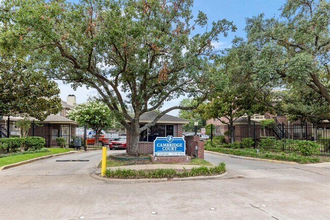 Building Photo - 2121 El Paseo St