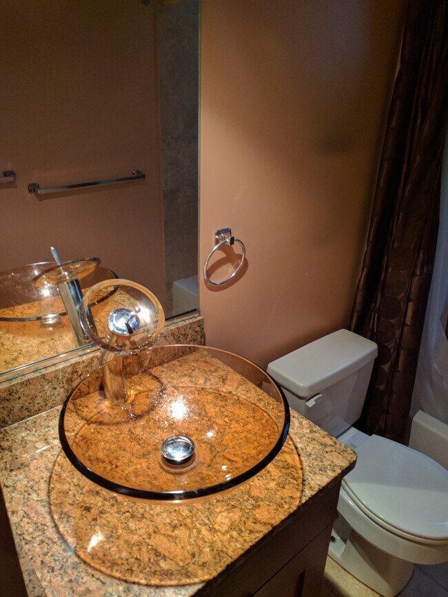 Hallway Bathroom - 3565 S King Dr