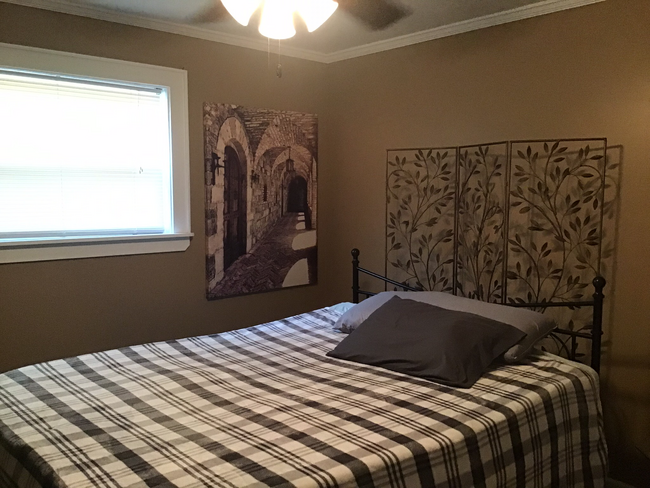 Large bedroom with closet - 42 Haw Creek Cir