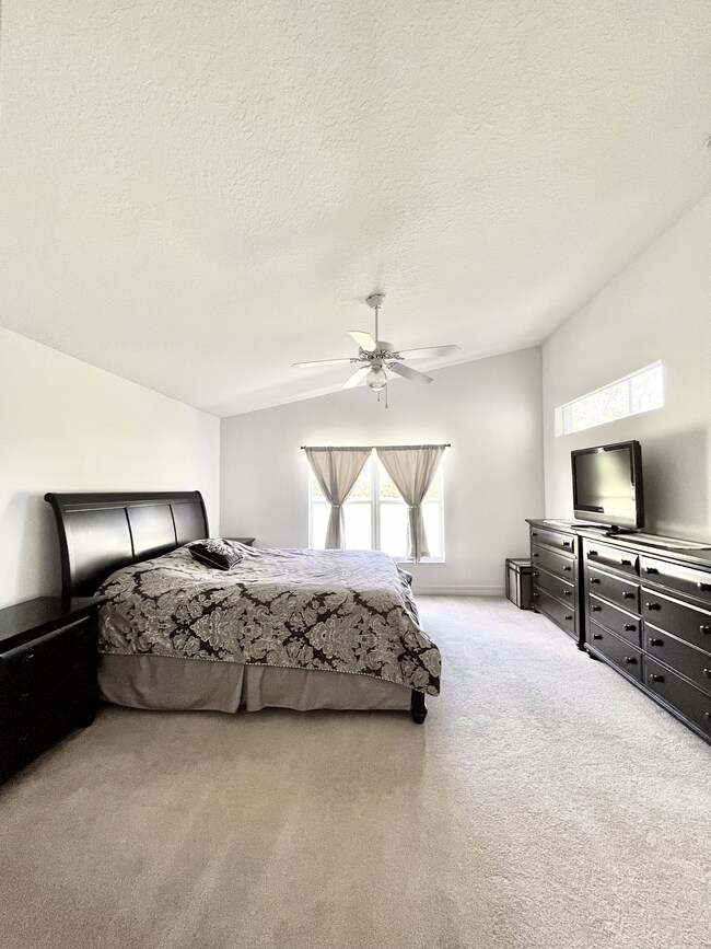 Building Photo - 1305 Coconut Palm Cir