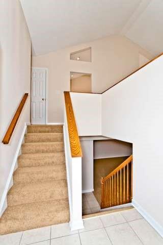 Foto del edificio - 221 Cottonwood Ln