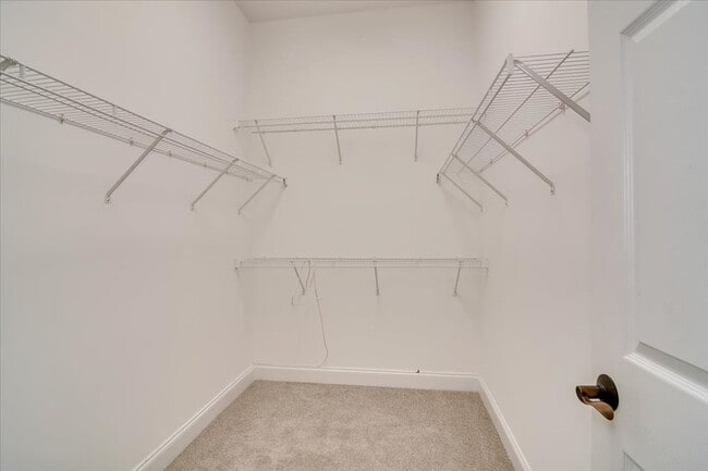 Building Photo - 2507 Grier Cir