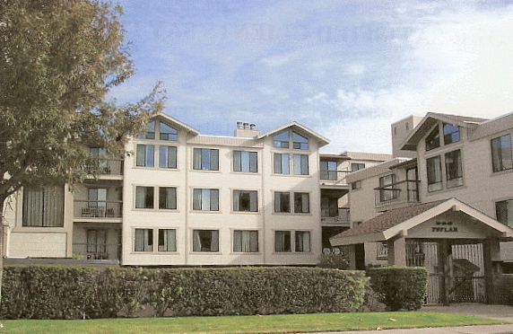 Edificio - 500 Poplar Ave
