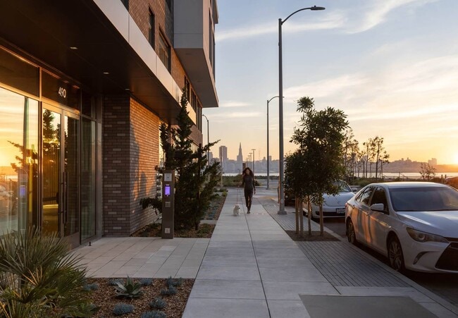 Building Photo - 490 Avenue of the Palms