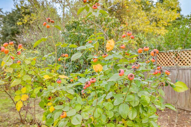 Building Photo - 158 Sierra Pl