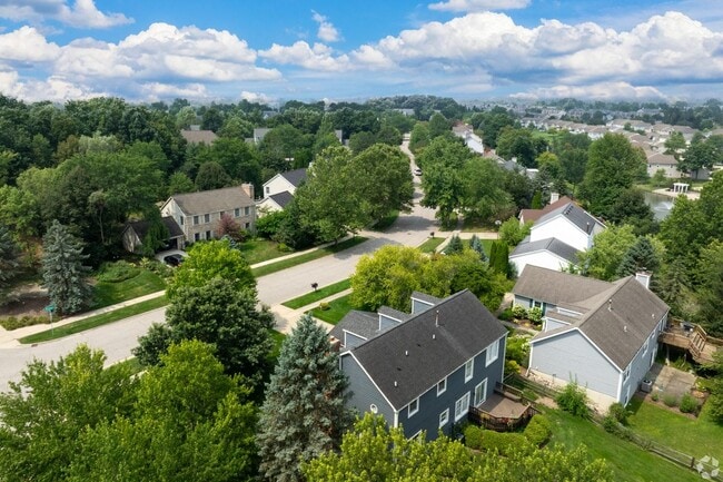 Pittsfield Lodi is a tree-filled neighborhood.