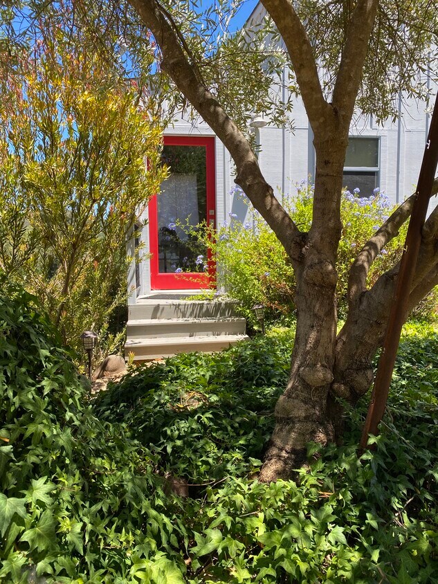Foto principal - 1738 Lytton Springs Rd