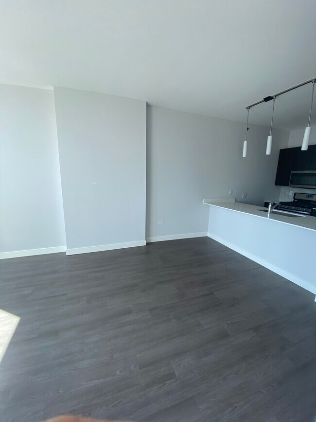 801 S Plymouth Ct Unit 1207, Chicago, IL 60605 Condo for Rent in