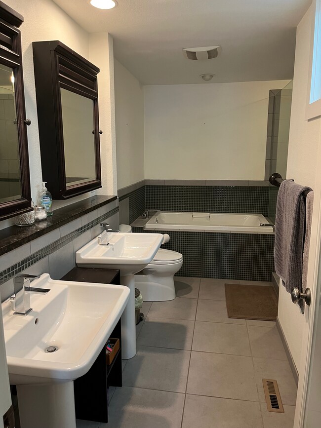 Master Bath - 1702 Brookhaven Cir W