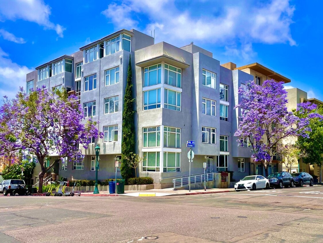Primary Photo - Live in the Heart of Little Italy! 1BD/1.5...