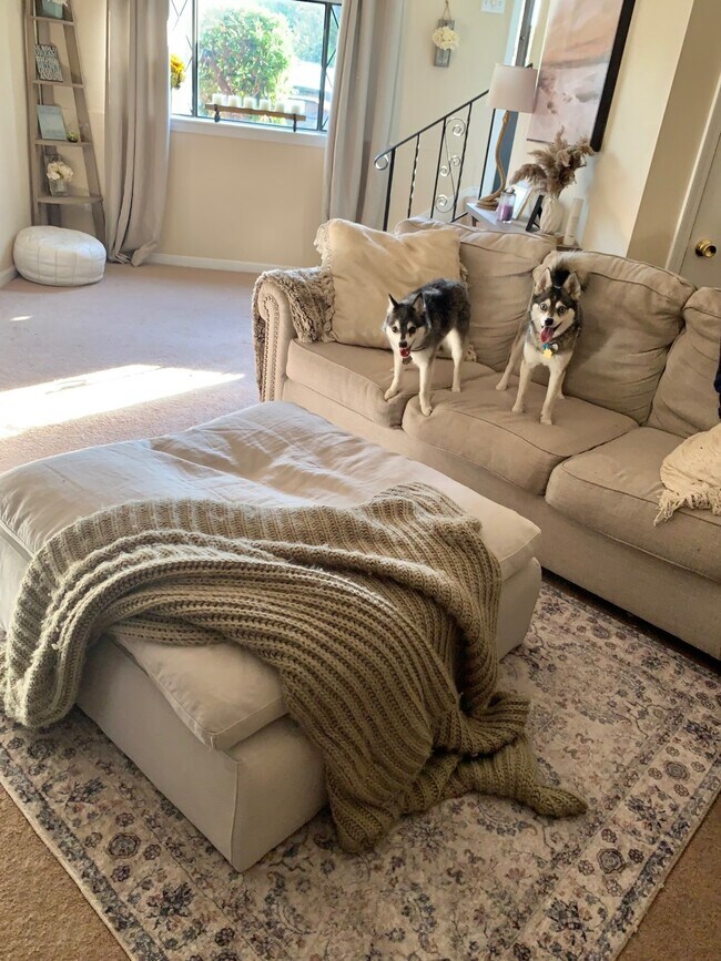 366 Farrwood Dr, Haverhill, MA 01835 Townhome Rentals in Haverhill MA