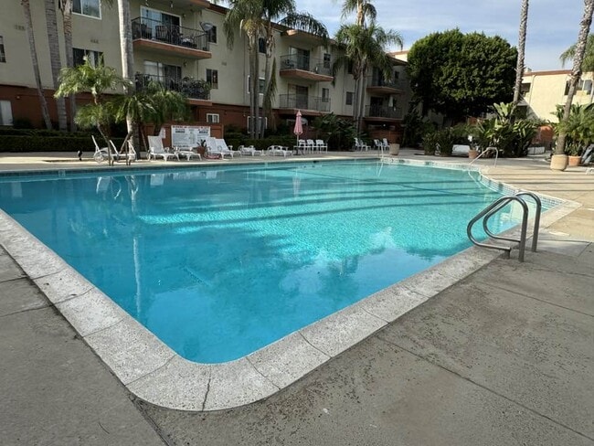 More pool! - 400 N Acacia Ave
