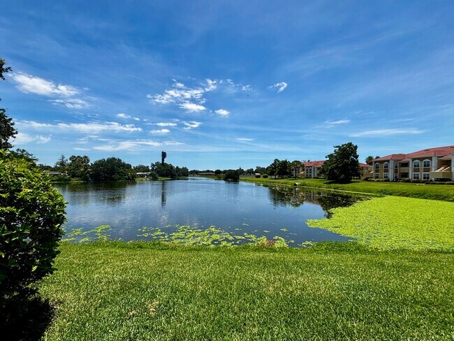 Foto del edificio - 3/2 unit with beautiful water view becoming available July 1st for an annual lease