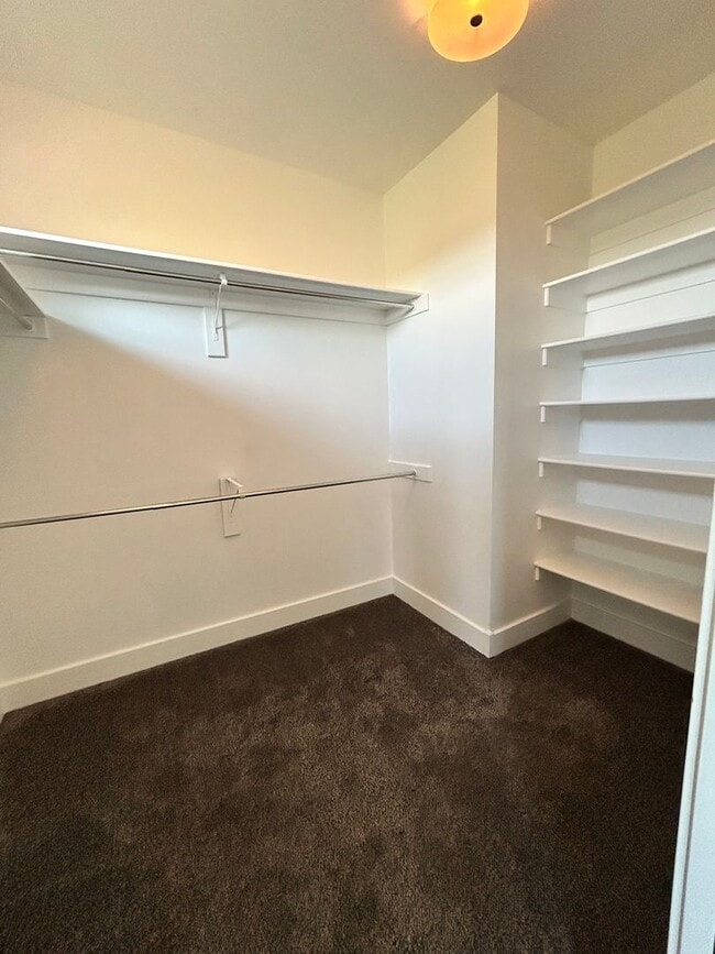 Building Photo - Stunning luxury rental!