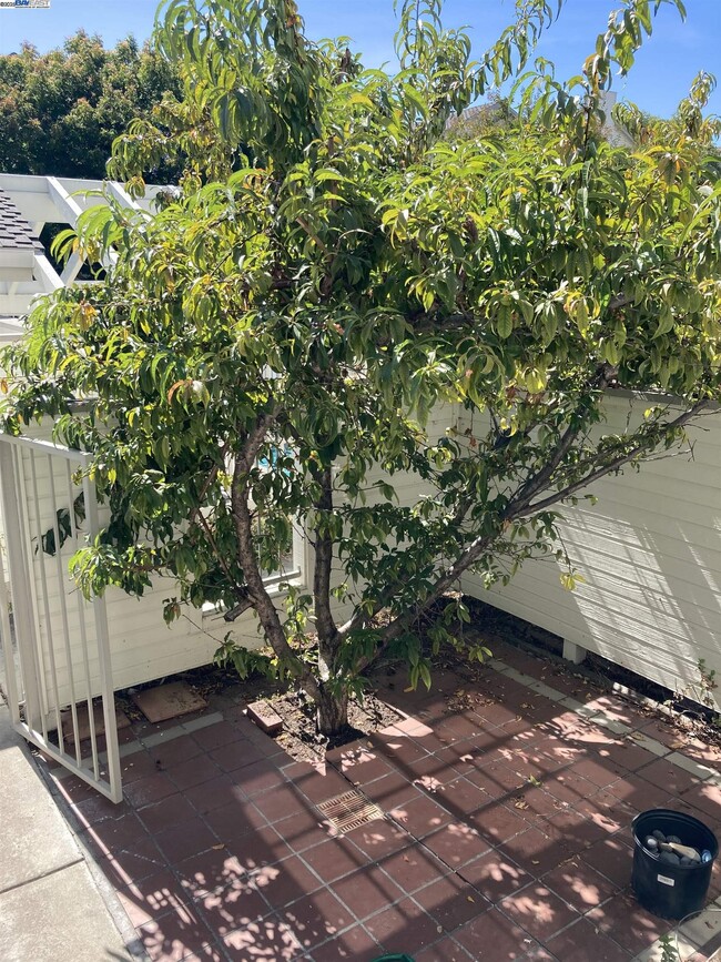 Building Photo - 987 Belmont Terrace