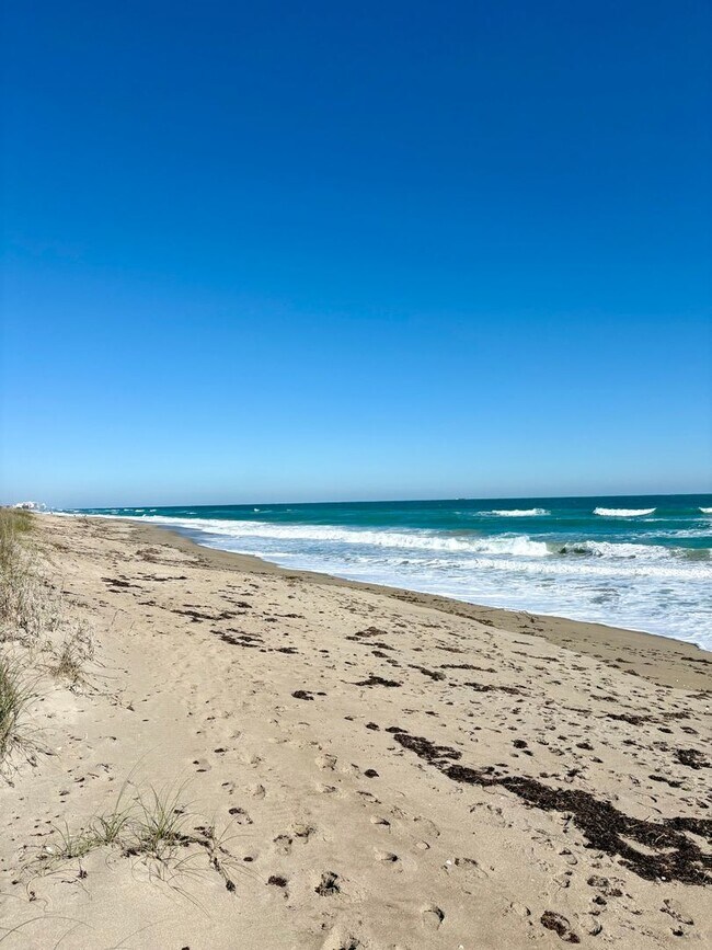 Foto del edificio - Direct Oceanfront 2/2 Condo in Stuart!